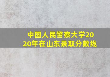 中国人民警察大学2020年在山东录取分数线