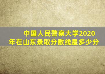 中国人民警察大学2020年在山东录取分数线是多少分