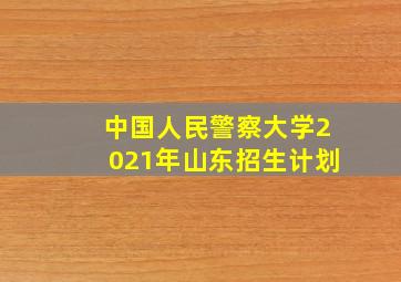 中国人民警察大学2021年山东招生计划