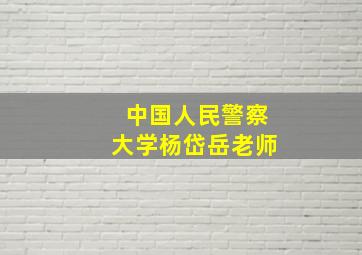 中国人民警察大学杨岱岳老师