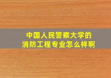 中国人民警察大学的消防工程专业怎么样啊