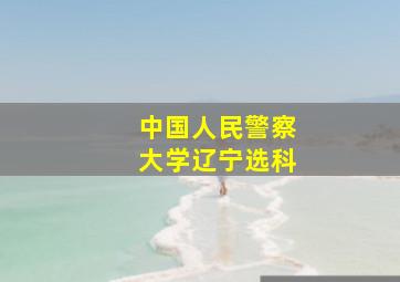 中国人民警察大学辽宁选科