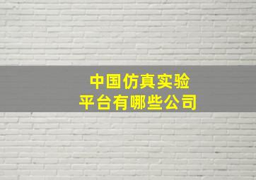 中国仿真实验平台有哪些公司