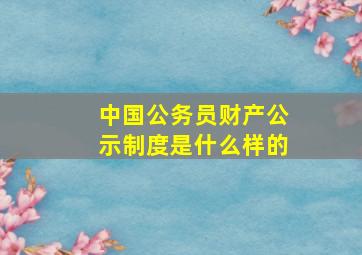 中国公务员财产公示制度是什么样的