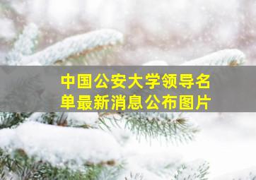 中国公安大学领导名单最新消息公布图片