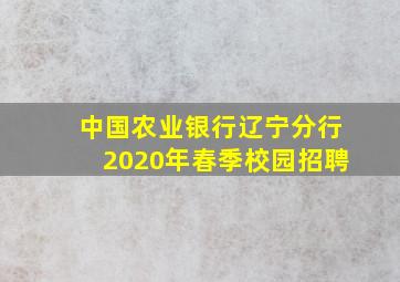 中国农业银行辽宁分行2020年春季校园招聘