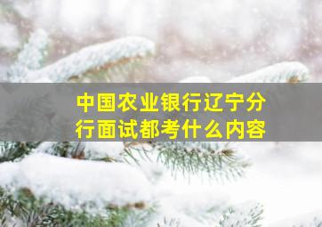 中国农业银行辽宁分行面试都考什么内容