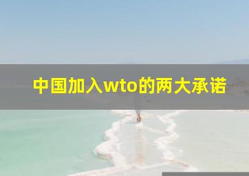 中国加入wto的两大承诺