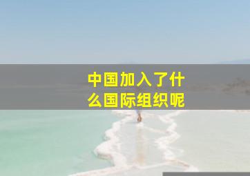 中国加入了什么国际组织呢