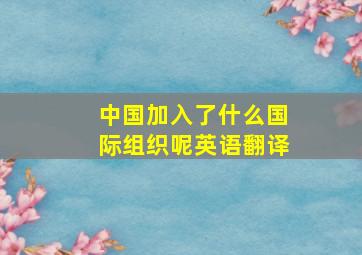 中国加入了什么国际组织呢英语翻译