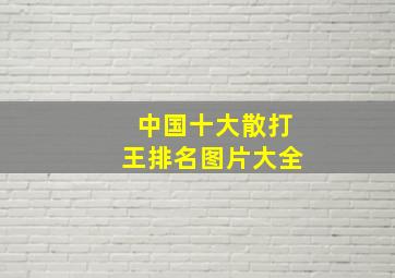 中国十大散打王排名图片大全