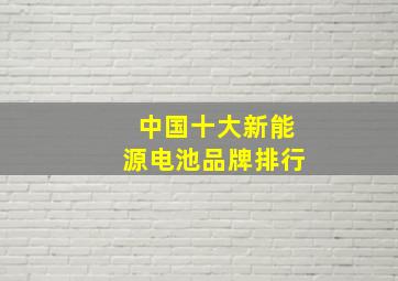 中国十大新能源电池品牌排行