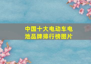 中国十大电动车电池品牌排行榜图片