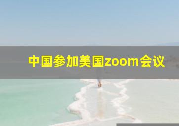 中国参加美国zoom会议