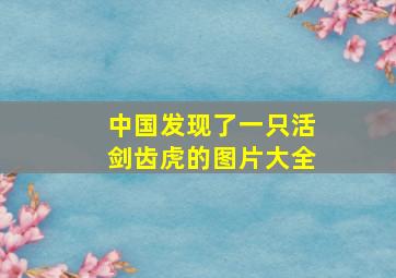 中国发现了一只活剑齿虎的图片大全