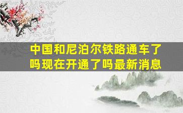 中国和尼泊尔铁路通车了吗现在开通了吗最新消息