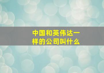 中国和英伟达一样的公司叫什么