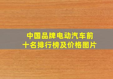 中国品牌电动汽车前十名排行榜及价格图片