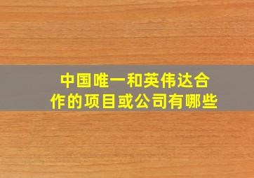 中国唯一和英伟达合作的项目或公司有哪些