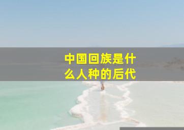 中国回族是什么人种的后代