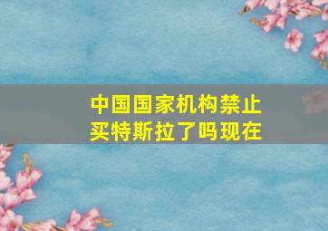 中国国家机构禁止买特斯拉了吗现在