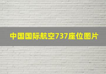 中国国际航空737座位图片