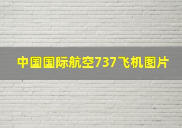 中国国际航空737飞机图片