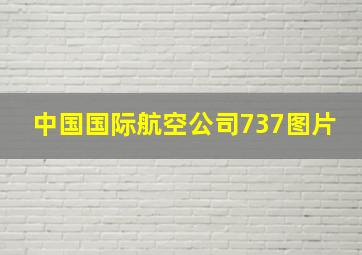 中国国际航空公司737图片