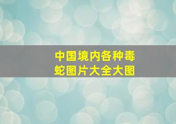 中国境内各种毒蛇图片大全大图