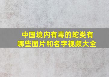 中国境内有毒的蛇类有哪些图片和名字视频大全