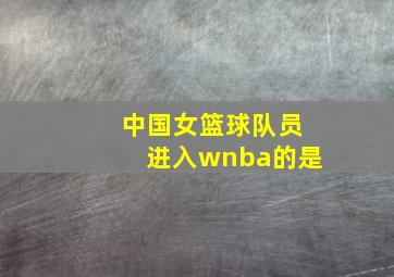 中国女篮球队员进入wnba的是