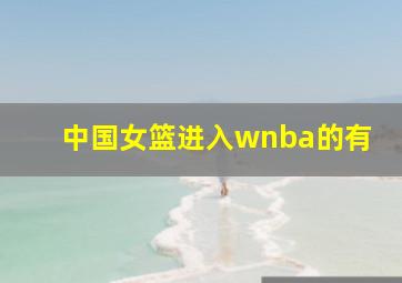 中国女篮进入wnba的有