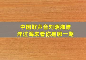 中国好声音刘明湘漂洋过海来看你是哪一期