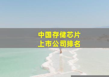 中国存储芯片上市公司排名