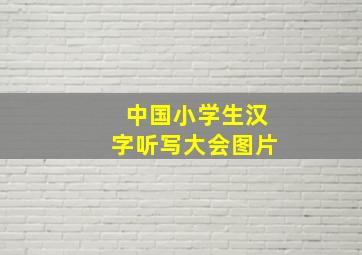 中国小学生汉字听写大会图片