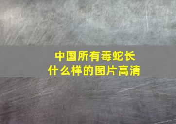 中国所有毒蛇长什么样的图片高清