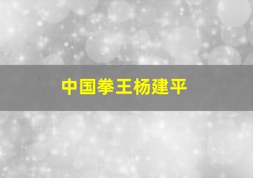 中国拳王杨建平