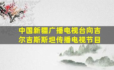 中国新疆广播电视台向吉尔吉斯斯坦传播电视节目