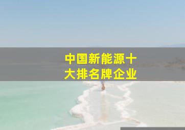 中国新能源十大排名牌企业