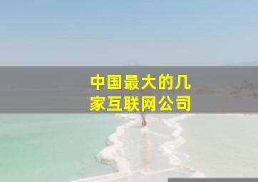 中国最大的几家互联网公司