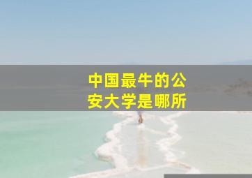 中国最牛的公安大学是哪所