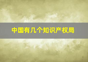 中国有几个知识产权局