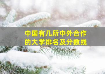 中国有几所中外合作的大学排名及分数线