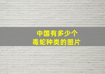 中国有多少个毒蛇种类的图片