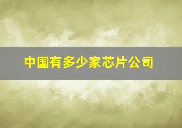 中国有多少家芯片公司