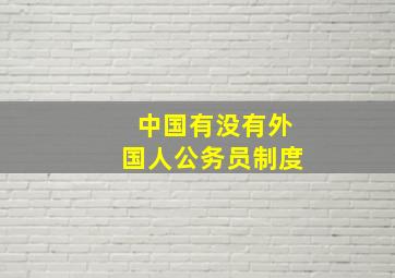 中国有没有外国人公务员制度