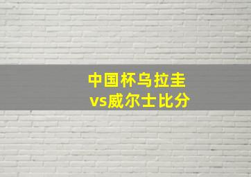 中国杯乌拉圭vs威尔士比分