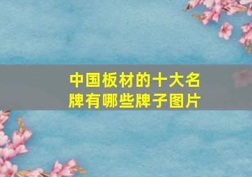 中国板材的十大名牌有哪些牌子图片