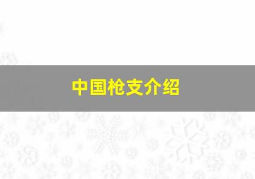 中国枪支介绍