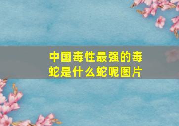 中国毒性最强的毒蛇是什么蛇呢图片